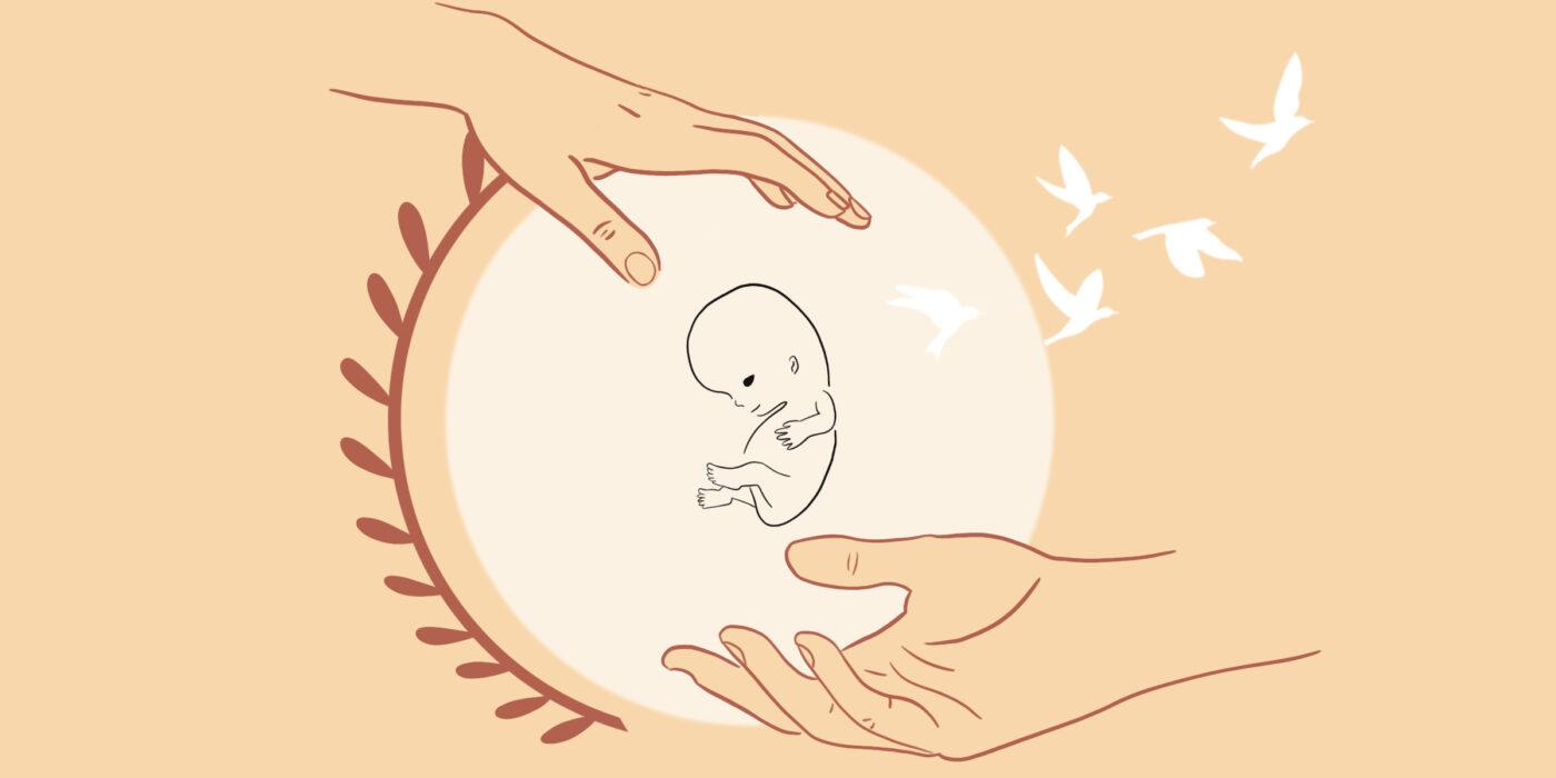 9 weken zwanger foetus