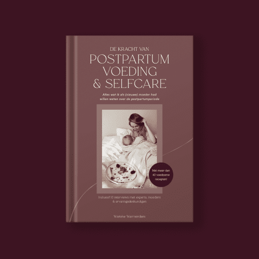 Boek De kracht van postpartum voeding en selfcare - Afbeelding 8