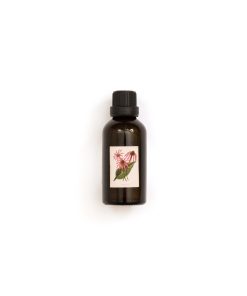 Echinacea flesje zwangerschap bloem