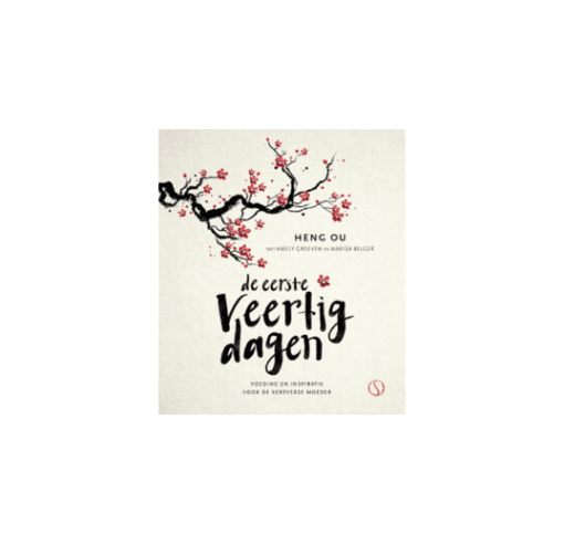 boek de eerste veertig dagen van heng ou