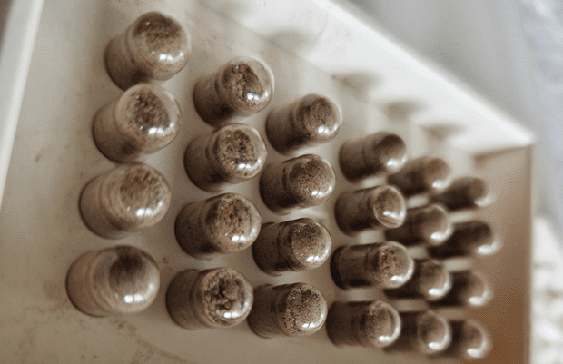 capsules van placenta in bakje