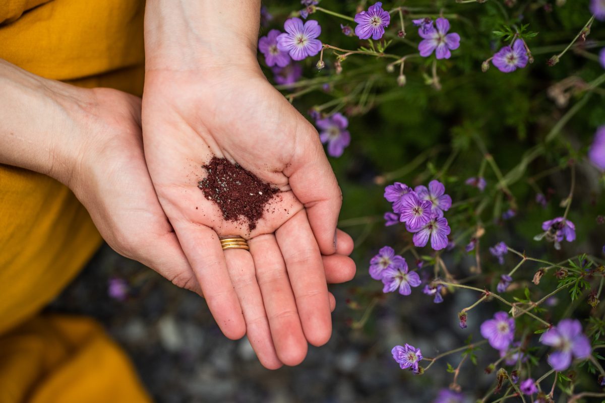 biologische superfood poeder in hand van vrouw