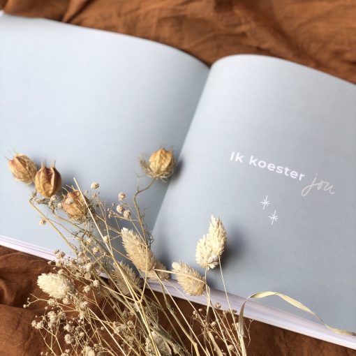 boek ik koester jou inzage